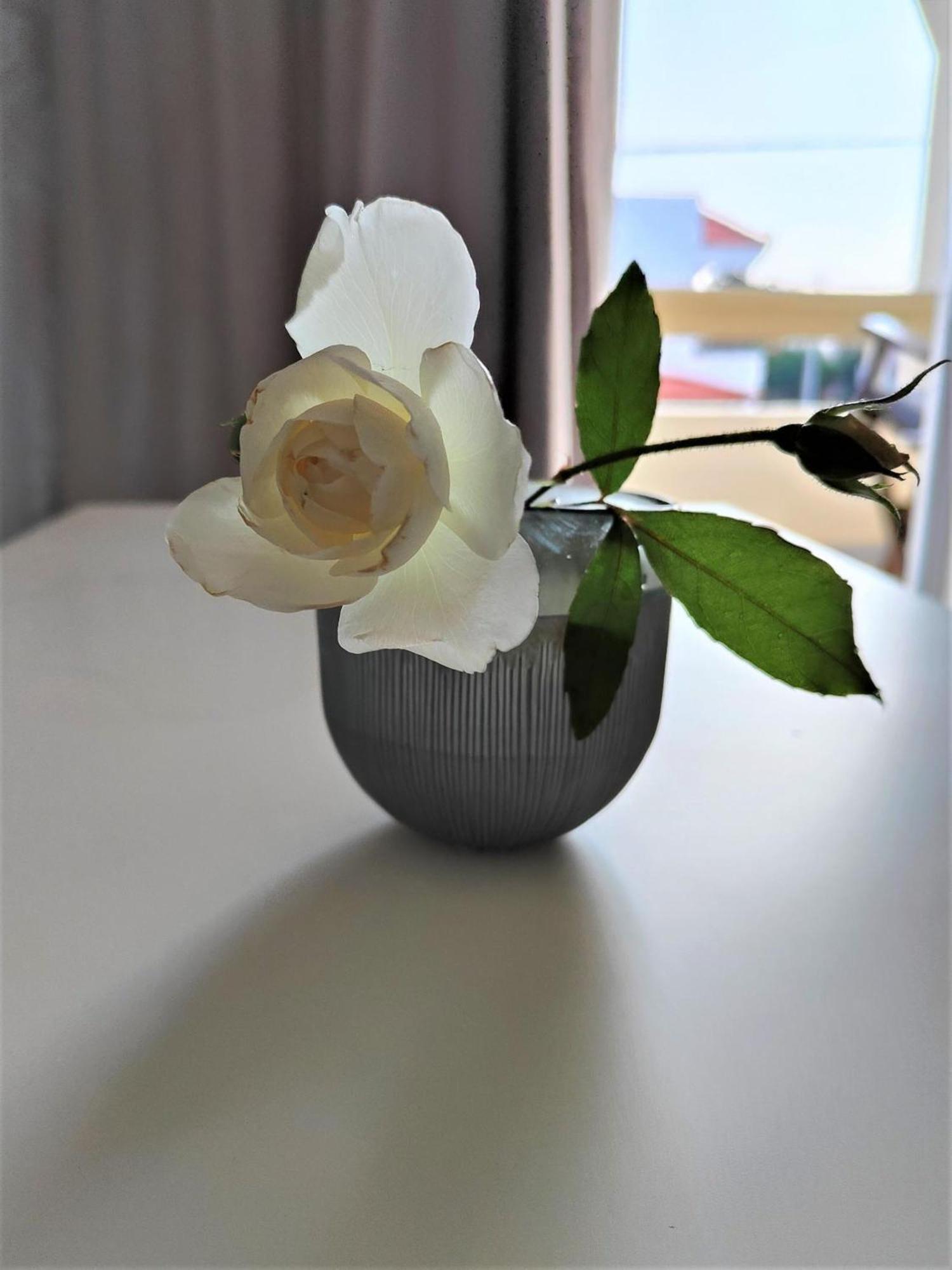 Lefteris Apartments In イアリソス エクステリア 写真